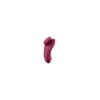 Coffret 2 sextoys connectés Partner Box 1 Satisfyer 